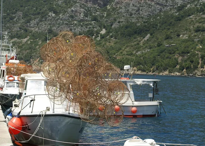 Rustic In With Sea-view
