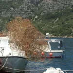Rustic In With Sea-view