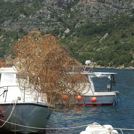 Rustic In With Sea-view